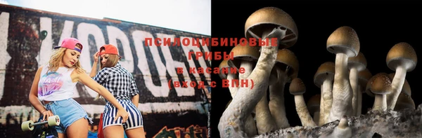 мдпв Каменногорск