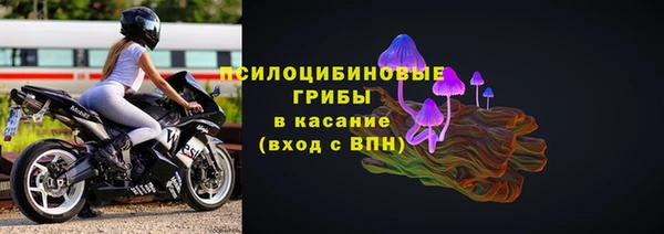 мдпв Каменногорск