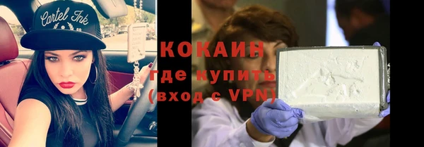 мдпв Каменногорск