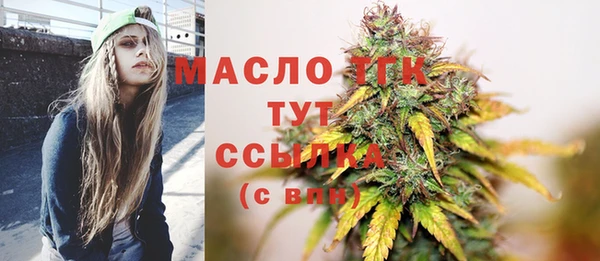 мдпв Каменногорск